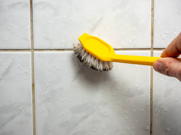 Best Home Mold Removal  in Rainbow, CA