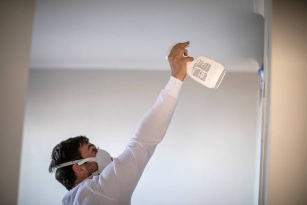 Best Crawl Space Mold Removal  in Rainbow, CA