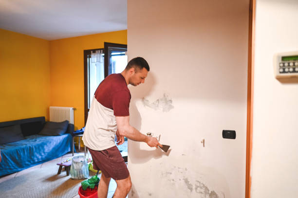 Mold Removal Process in Rainbow, CA